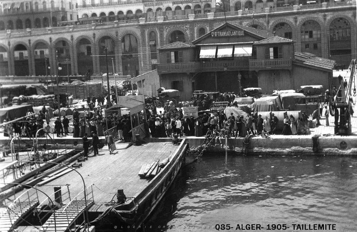 085- Alger- 1905- Taillemite.jpg